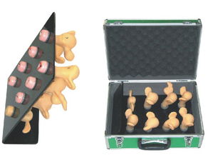 上海宸博宮頸病變與子宮病變教學模型 精準醫(yī)療教育的得力助手